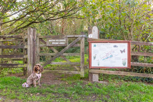 Photo 34- click for photo gallery